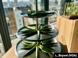 Drought-resistant okra is displayed at a "Future 50 Foods" tasting at the Pompidou Center in Paris.