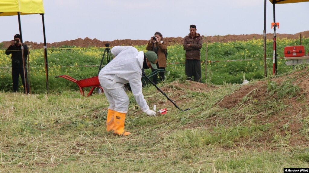 Para pekerja menandai tempat-tempat yang diduga merupakan kuburan massal warga etnis Yazidi yang dibunuh oleh militan ISIS di Kocho, Irak.