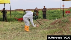 Para pekerja menandai tempat-tempat yang diduga merupakan kuburan massal warga etnis Yazidi yang dibunuh oleh militan ISIS di Kocho, Irak.