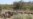South African Park Kills 350 Hippos, Buffalos Amid Drought