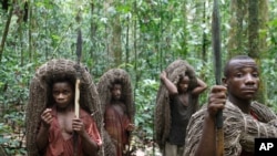 Des pygmée Mbuti portent leurs filets de chasse sur la tête et des lances se préparant pour un journée de chasse, dans la Réserve de faune à okapis en dehors de la ville d'Epulu, Congo, 18 mars 2010.