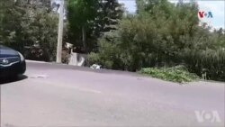 Ayiti: Ratman Gaz la Lakoz yon Aksidan Mòtèl Nòdès