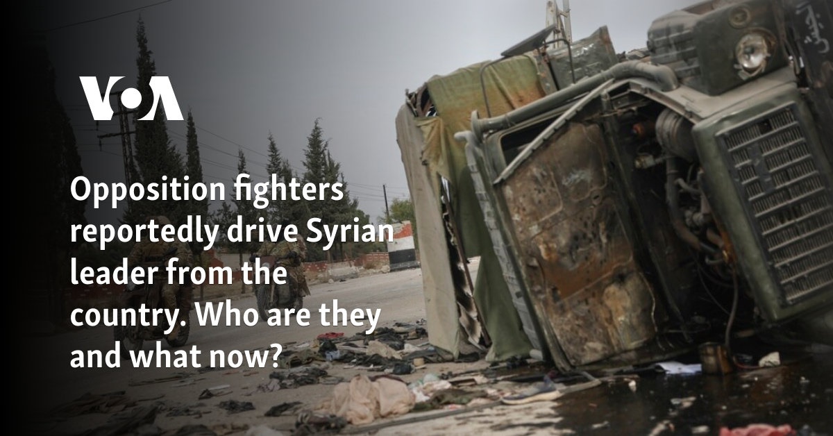 Opposition fighters reportedly drive Syrian leader from the country. Who are they and what now?