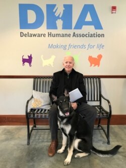 Presiden terpilih AS (saat itu masih mantan Wapres AS), berpose bersama anjing yang diadopsinya, Major, di kantor DHA (Delaware Humane Association) di Wilmington, Delaware, 16 November 2018.