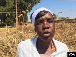 Mirriam Chagweja, 61, is one of the farmers who have benefited from the FAO’s biofortified maize and beans program funded by the British government. (S. Mhofu/VOA)