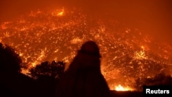 Firefighters battle the Powerhouse wildfire at the Angeles National Forest, with the fire now having destroyed several homes near the Lake Hughes area in California, early morning, June 2, 2013. 