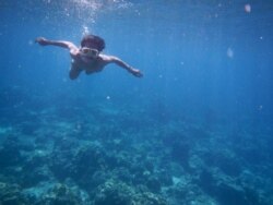 Seorang penyelam saat melihat kondisi bawah laut di perairan Pulau Weh. (Foto: VOA/Anugrah Andriansyah)