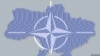 Україна може бути членом НАТО вже за 2 роки – Кириленко