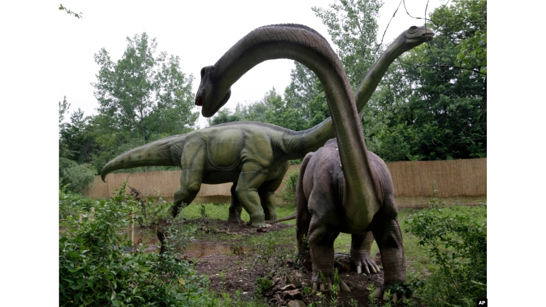 FILE - An Apatosaurus display is seen at Field Station Dinosaurs in Secaucus, New Jersey, May 25, 2012.