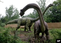FILE - An Apatosaurus display is seen at Field Station Dinosaurs in Secaucus, New Jersey, May 25, 2012.