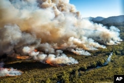 A large bushfire burns in Tasmania, Australia, in this undated photo courtesy of Tasmania Parks and Wildlife Service. AAP Image/Tasmania Parks and Wildlife Service/Handout via REUTERS