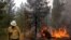 FILE - Ryan Berlin, a public information officer tracking the Bootleg Fire, walks past a burning log near the northwest edge of the fire, July 23, 2021, near Paisley, Ore. 