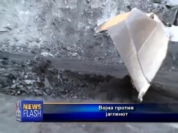 Војна против јагленот?