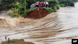 Madhamhu madiki mazhinji anonzi akaparadzwa nemvura iyi
