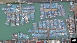 Kapal-kapal penangkap ikan berjajar rapi di pelabuhan Pulau Jeju, Korea Selatan, ketika Topan Lingling mendekat ke kawasan tersebut, Jumat, 6 September 2019. (Byun Ji-chul / Yonhap via AP)