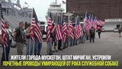 Прощание с собакой-героем