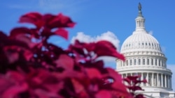 23 вересня у Сенаті США зареєстровано законопроєкт про продовження статусу TPS для українців. Фото: AP/Mariam Zuhaib) 