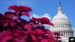 23 вересня у Сенаті США зареєстровано законопроєкт про продовження статусу TPS для українців. Фото: AP/Mariam Zuhaib) 