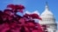 23 вересня у Сенаті США зареєстровано законопроєкт про продовження статусу TPS для українців. Фото: AP/Mariam Zuhaib) 