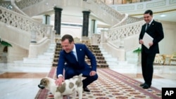 File - Russian Prime Minister Dmitry Medvedev pets an Alabai puppy presented to him by Turkmenistan's President Gurbanguly Berdymukhamedov, left, at the Council of Commonwealth of Independent States (CIS) in Ashgabat, Turkmenistan, May 31, 2019.