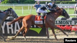 Sir Winston, ridden by Joel Rosario, wins the 151st running of the Belmont Stakes at Belmont Park in Elmont, N.Y., June 8, 2019. (D. Schneidler/USA Today Sports)