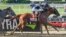 Sir Winston, ridden by Joel Rosario, wins the 151st running of the Belmont Stakes at Belmont Park in Elmont, N.Y., June 8, 2019. (D. Schneidler/USA Today Sports)