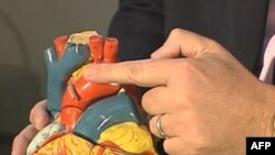 Rreziqet nga dobësimi i mureve të aortës