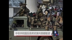 中非共和国反政府武装向首都挺进