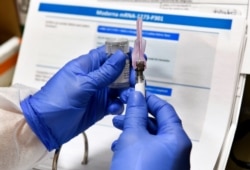 FILE - Nurse Kathe Olmstead prepares a shot as the world's biggest study of a possible COVID-19 vaccine, developed by the National Institutes of Health and Moderna Inc., gets underway, July 27, 2020, in Binghamton, N.Y.