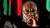 “짐바브웨 무가베, 면책 특권 보장받아”