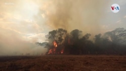 Incendios en Brasil