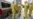 WHO Declares Coronavirus Outbreak a Global Emergency 