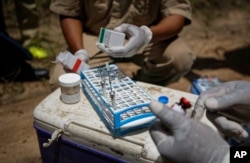 A team of wildlife veterinarians prepare darts containing the elephant tranquilizer etorphine hydrochloride during an operation to attach GPS tracking collars to elephants in Mikumi National Park, Tanzania, March 21, 2018.