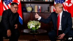 FILE - President Donald Trump meets with North Korean leader Kim Jong Un on Sentosa Island, Singapore, June 12, 2018.