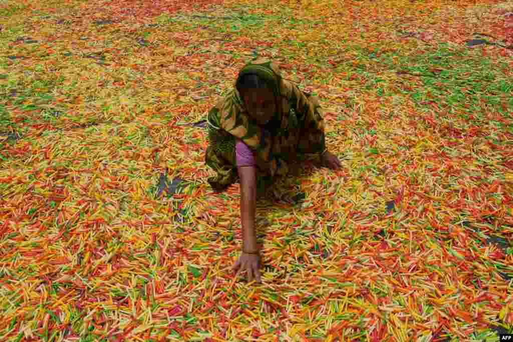 A worker dries "fryums," a finger shaped food made from seasoned dough, on the outskirts of Agartala, India.