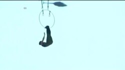 NO COMMENT: Օդային հնարք Հյուսիսային Կարոլինայում