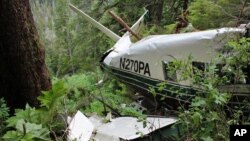 In this undated file photo, provided by the National Transportation Safety Board, the wreckage of a sightseeing plane that crashed about 25 miles from Ketchikan in southeast Alaska on Thursday, June 25, 2015.