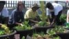 A rooftop garden in Johannesburg