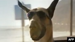 Amerikan Sinemasında Yaz Sezonu