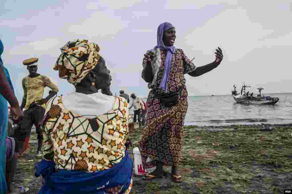 From sunup to sundown, groups of lag-lagal wade into the water toward the boats off Joal, Senegal, fill their buckets with fish, and come back to shore to figure out how to sell them. May 30, 2017. (R.Shryock/VOA)