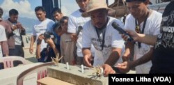 Ahmad Maliki (41) mendemonstrasikan cara meletakkan bibit karang jahe pada media transplantasi terumbu karang yang terbuat dari beton, Sabtu, 17 Agustus 2019. (Foto: Yoanes Litha/VOA)