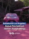 Kebakaran Los Angeles: Bubuk Pink Selimuti Jalanan, Rumah Warga