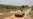 Spiraling Violence in Central African Republic Isolates Neediest