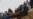 Afghan Civilian Casualties High as 1st Phase of US-Taliban Deal Ends