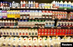 ایک گراسری اسٹور کے ڈیری کے شعبے میں مختلف اقسام کے دودھ رکھے ہیں۔
