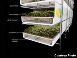 A diagram of an AeroFarms growing shelf. (Courtesy AeroFarms)