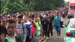 Դաշնային դատարանն արգելափակեց Թրամփի որոշումը