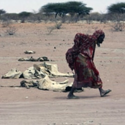 Drought in East Africa