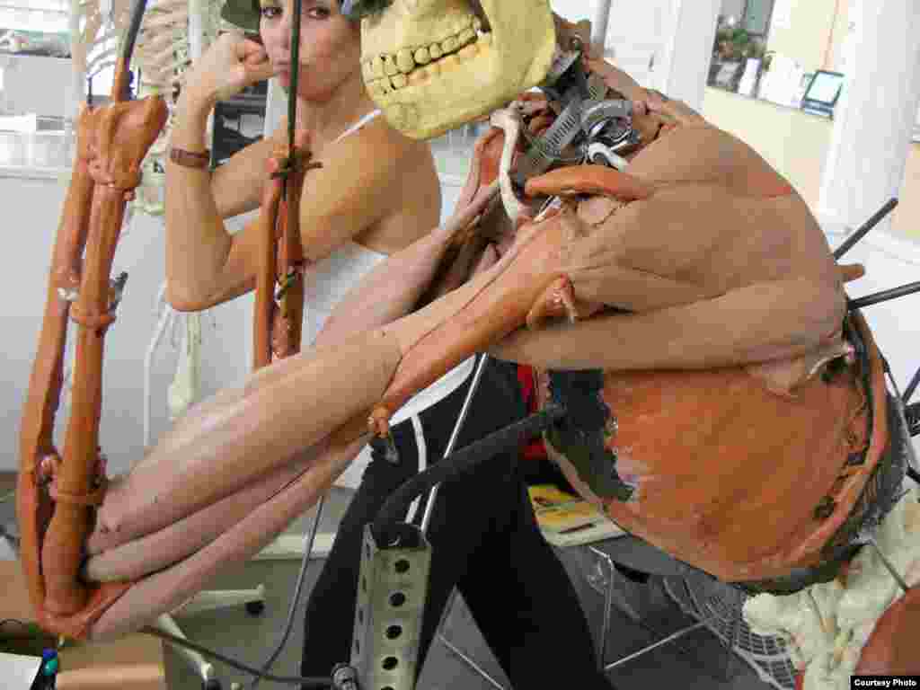 John Gurche membuat lengan Homo erectus dan model-model otot dengan mencontoh manusia yang sebenarnya. (John Gurche, &ldquo;Shaping Humanity&rdquo;)