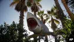One of the giant mechanical sharks that starred in the movie "Jaws" at Aadlen Brothers Auto Wrecking, also known as U Pick Parts, Sun Valley section of Los Angeles, Nov. 11, 2015.